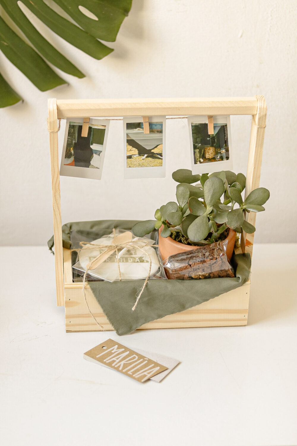 CAIXOTE NIVER COM PLANTA - Imagem 2