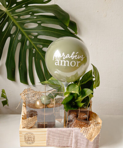 CAIXOTE FESTA COM PLANTA