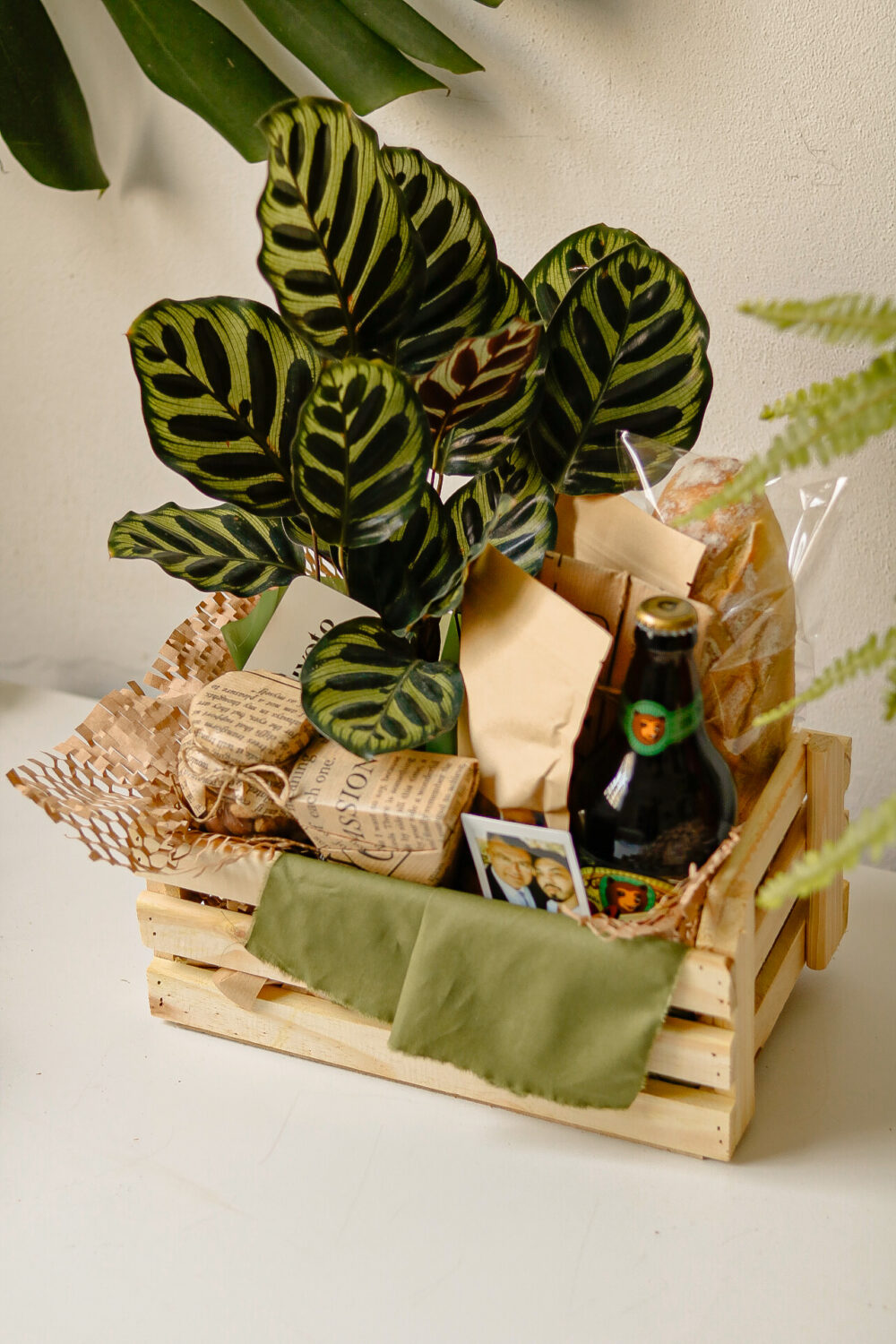 CAIXOTE MARANTA COLORADO LOTE 2
